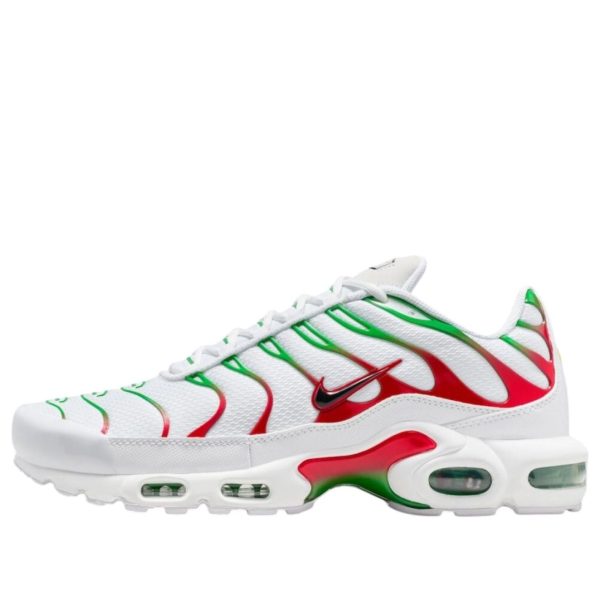 Nike Air Max Plus Italy
