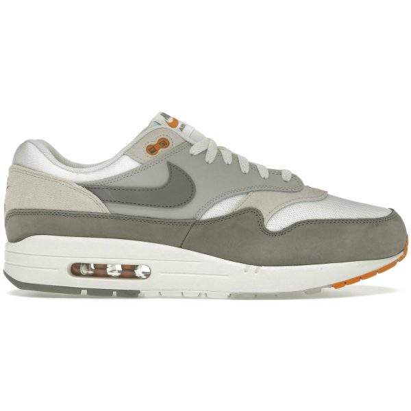 Nike Air Max 1 Light Iron Ore Flat Pewter