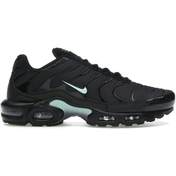 Nike Air Max Plus Black Mint Green