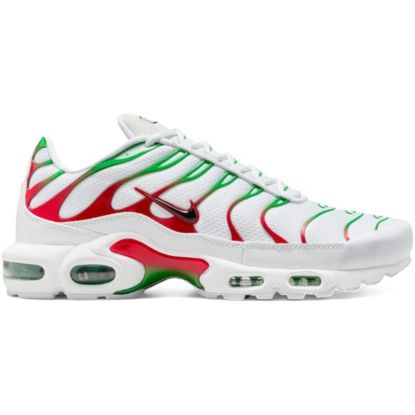 Nike Air Max Plus Italy