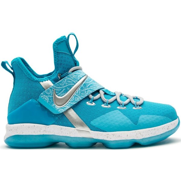 Nike LeBron 14 Ric Flair (GS)