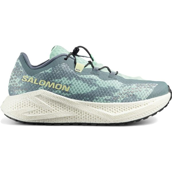 Salomon Aero Glide 4 GRVL Stormy Weather Lichen
