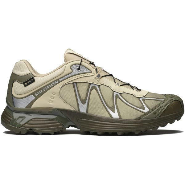 Salomon XT-Whisper Gore-Tex Aspargus Green Deep Lichen Green Grape Leaf